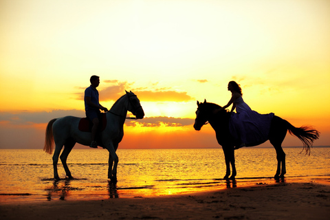 Agadir: Paseos Guiados a Caballo por el Bosque y las Dunas de ArenaExcursión desde Agadir