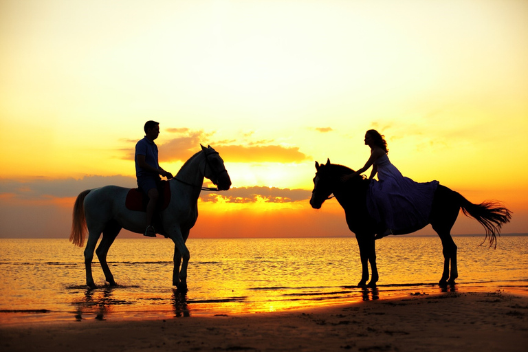 Agadir: Forest and Sand Dunes Guided Horse RidingFrom Taghazout