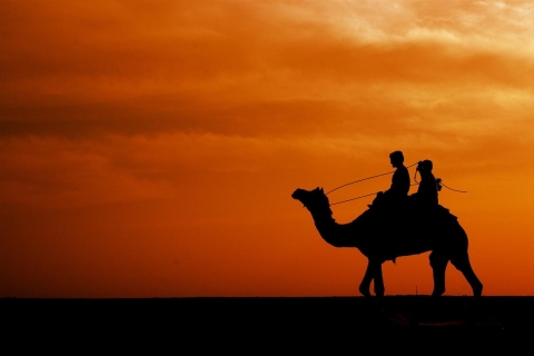 Desde Taghazout o Agadir: paseo en camello al atardecer y la playa de 2 horas
