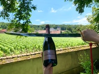 Reims, Sabrage Technique Workshop and Champagne Tasting - Housity