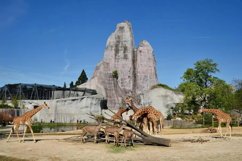 Paris: Entrébiljett till Paris zoologiska parkParis: Entrébiljett till Paris Zoologiska Park