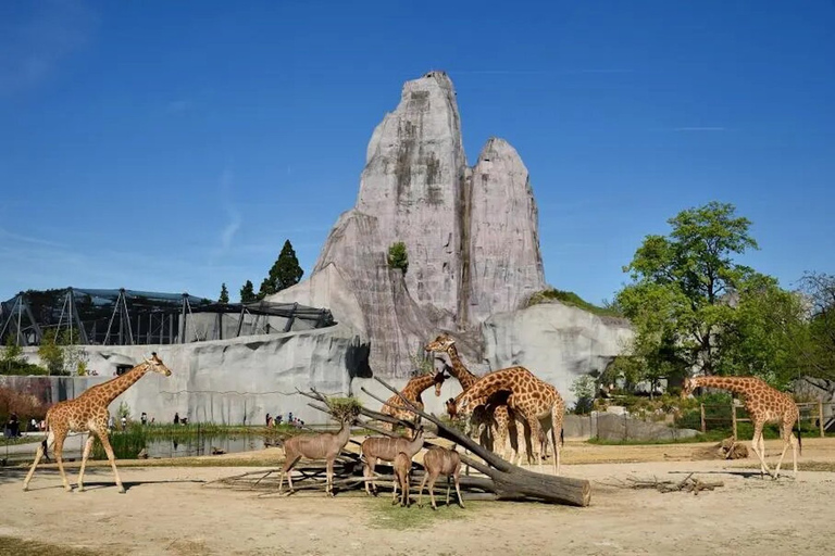 Paris: Eintrittskarte für den Zoologischen Park Paris