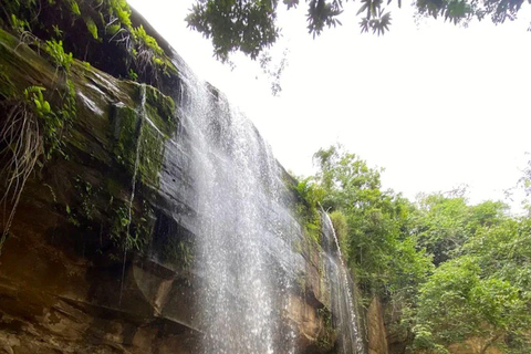 Diani: Guided day trip to Shimba Hills Reserve with lunch