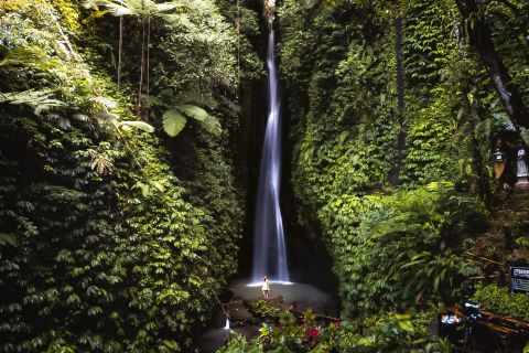 Bali: Leke-Leke-waterval, Monkey Forest & Jungle Swing Tour
