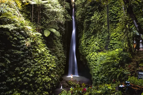 Bali: Cachoeira Leke-Leke, Floresta dos Macacos e Passeio de Balanço na Selva
