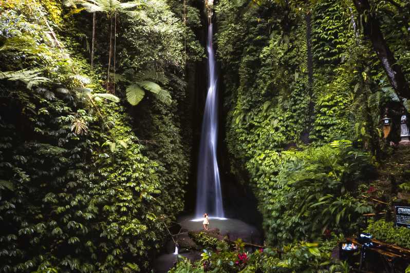 Bali: Wodospad Leke-Leke, Małpi Las i Jungle Swing Tour