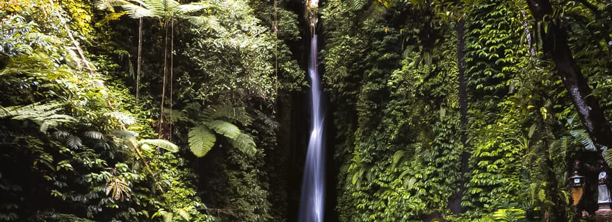 Bali : visite des chutes d'eau de Leke-Leke, de la forêt des singes et des balançoires dans la jungle