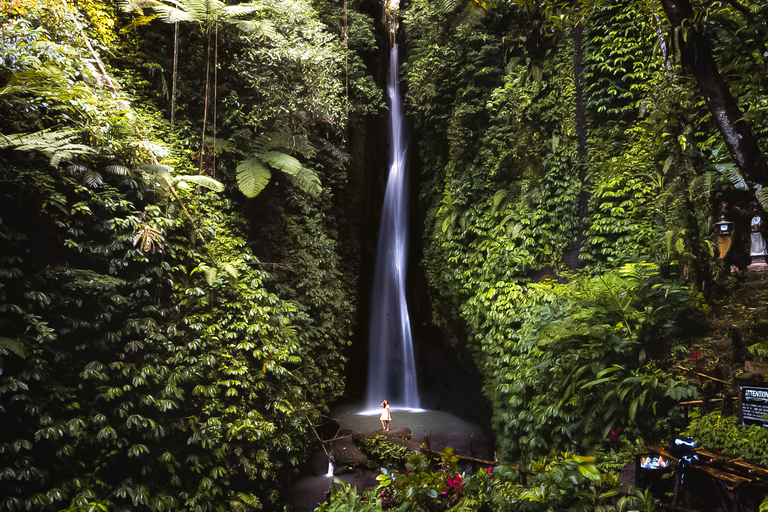 Bali: tour della cascata Leke-Leke, della foresta delle scimmie e della giunglaTour privato senza biglietti d&#039;ingresso