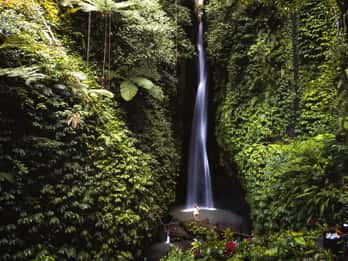 Bali: Leke-Leke Waterfall, Monkey Forest & Jungle Swing Tour