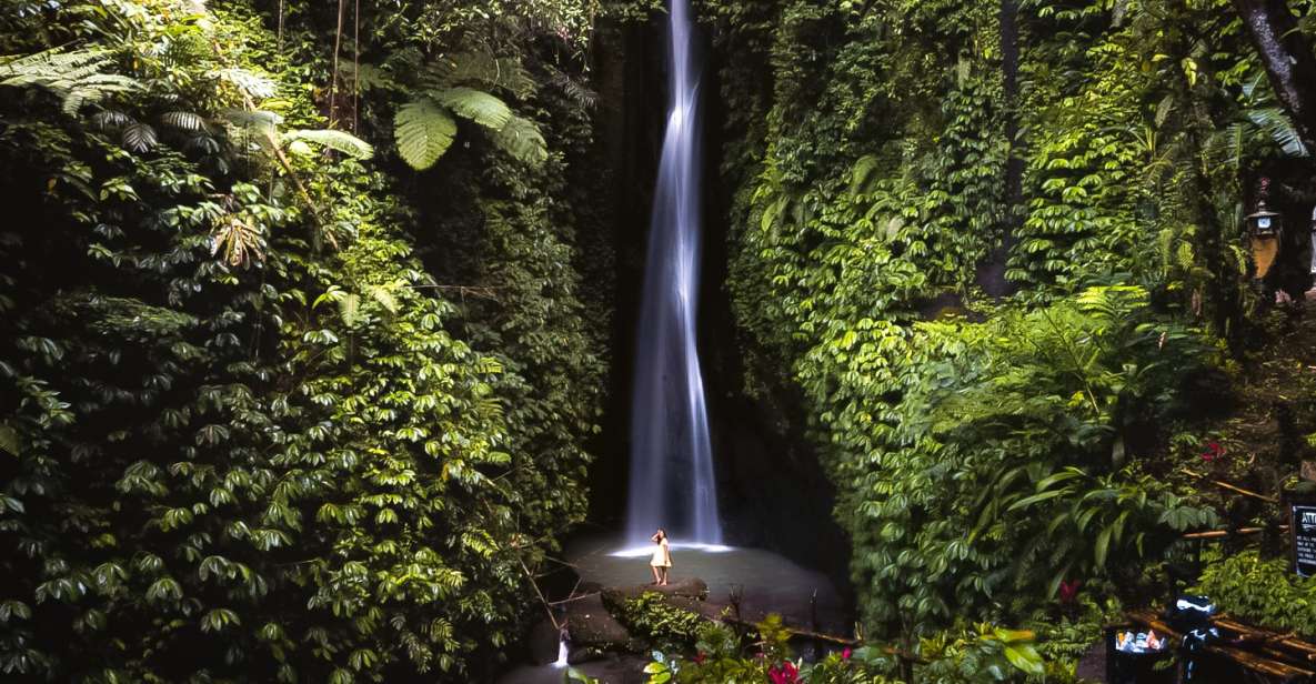 Bali: Leke-Leke Waterfall, Monkey Forest & Jungle Swing Tour
