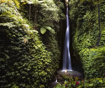 Bali: Leke-Leke Waterfall, Monkey Forest & Jungle Swing Tour