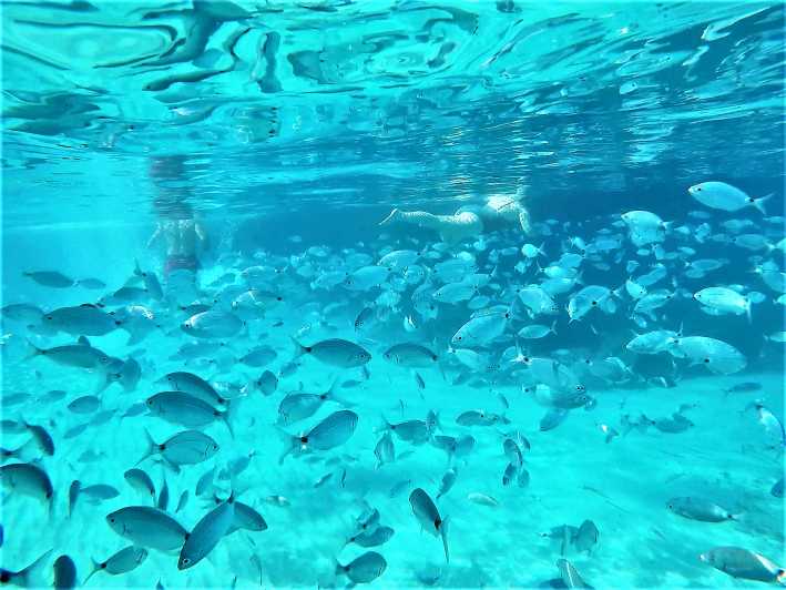 Ibiza: snorkeling, SUP, spiaggia e crociera nelle grotte