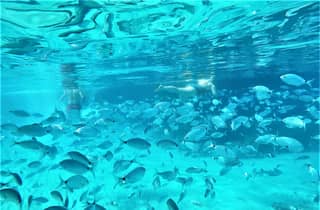 Ibiza: snorkeling e paddle SUP, tour della spiaggia e delle grotte