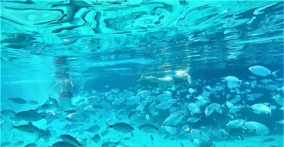 Ibiza: Snorkeling and SUP Paddle, Beach and Cave Tour