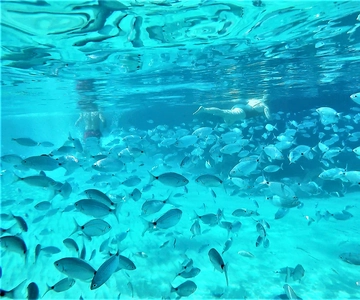 Ibiza: Snorkeling and SUP Paddle, Beach and Cave Boat Tour