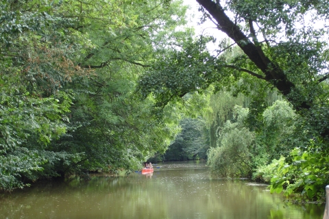 Leipzig: Bosque inundado y crucero por el río de la ciudad