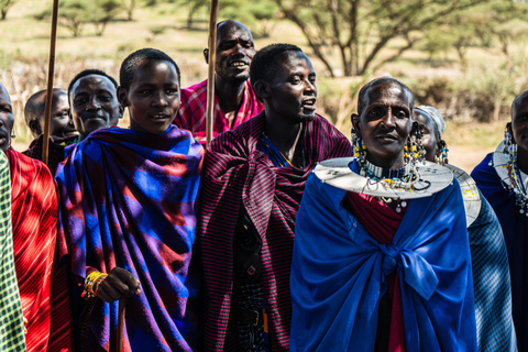 Sansibar: Maasai-Dorf und Nungwi-SchildkrötenSansibar: Maasai Dorf &amp; Nungwi Ausflug