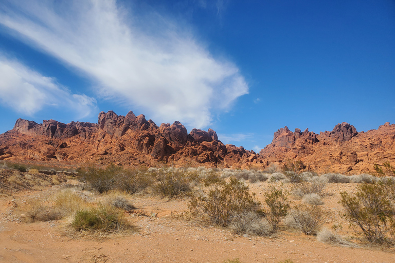 Las Vegas: excursión de un día a la presa Hoover y el Valle del Fuego con brunch