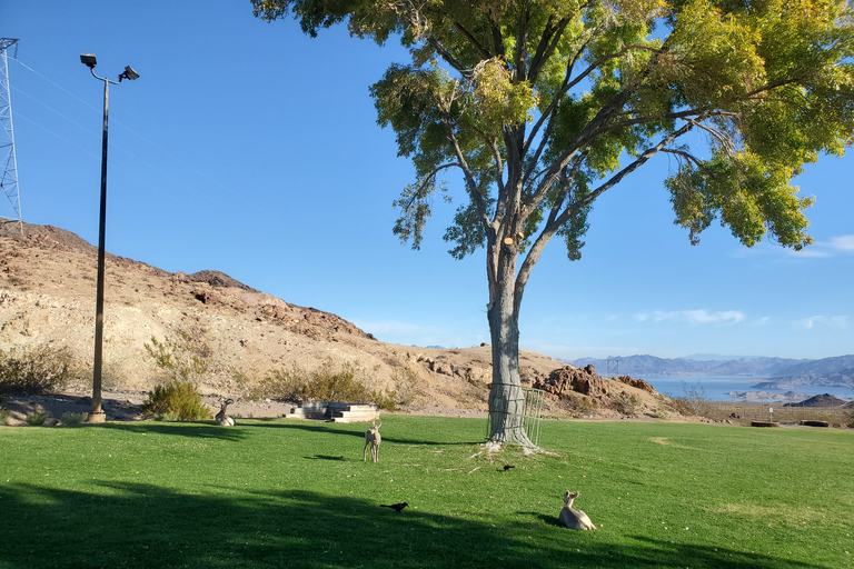 Las Vegas: Hoover Dam & Valley of Fire-dagtrip met brunch