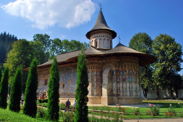 From Bucharest: 7-Day Private Guided Tour of Romania Standard option