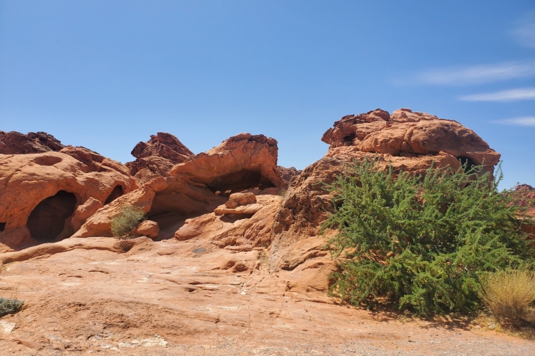 From Las Vegas: Valley of Fire Small Group Tour From Las Vegas: Semi-Private Valley of Fire Guided Tour