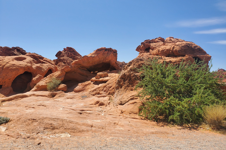 Z Las Vegas: Valley of Fire Small Group TourZ Las Vegas: prywatna wycieczka z przewodnikiem po dolinie ognia