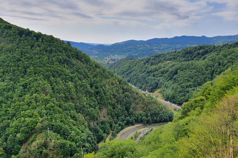 Desde Bucarest: Transilvania 6 días visita guiada privada