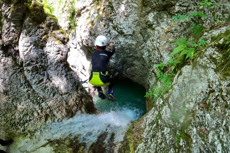 Bovec: Kanioning z przewodnikiem dla początkujących we FrataricyBovec: Doświadczenie z przewodnikiem dla początkujących w kanionie we Fratarica