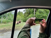 3 dagen privé -geleide tournee inclusief Transfagarasan Highway - Housity
