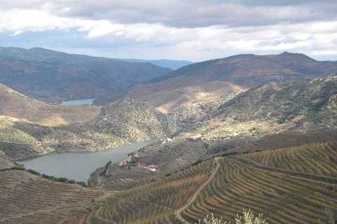 Da Porto: Tour privato della Valle del Douro con servizio di prenotazioneDa Porto: tour privato della Valle del Douro con servizio di prenotazione