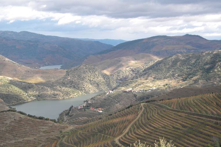 From Porto: Private Douro Valley Tour with Booking Service