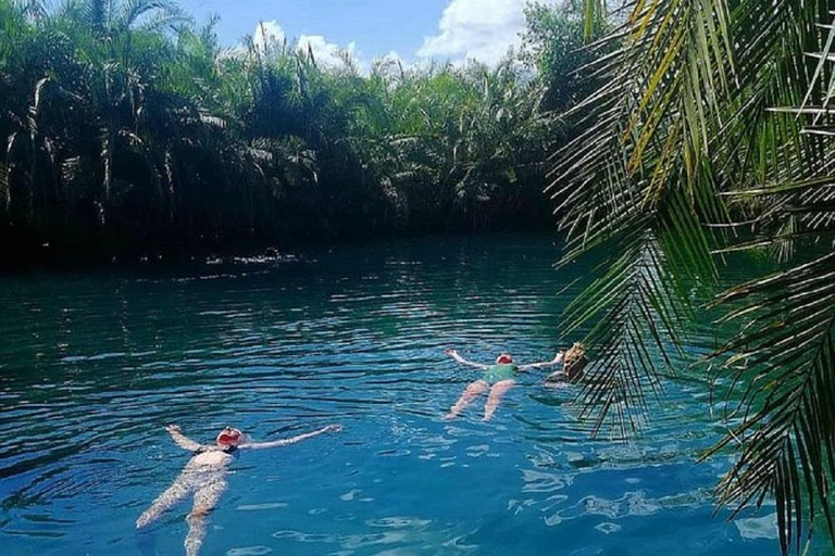 Moshi: Materuni Wasserfälle, Kaffee und Hotsprings Tour