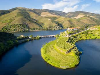 Da Porto: Tour privato della Valle del Douro con servizio di prenotazione