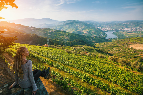 Do Porto: Tour particular pelo Vale do Douro com serviço de reservaDo Porto: Excursão privada ao Vale do Douro com serviço de reservas