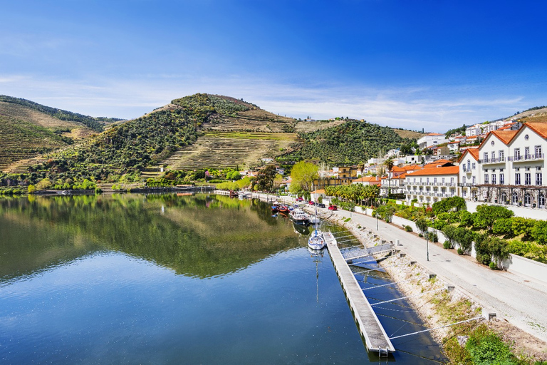 Z Porto: degustacja kuchni i winnic w dolinie Duoro