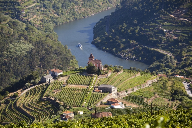 De Porto: cuisine de la vallée du Duoro et dégustation de vins