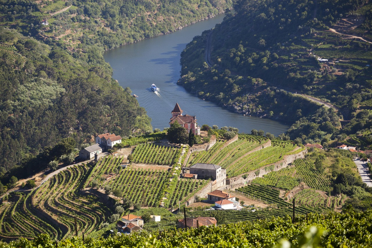 Do Porto: Tour particular pelo Vale do Douro com serviço de reservaDo Porto: Excursão privada ao Vale do Douro com serviço de reservas