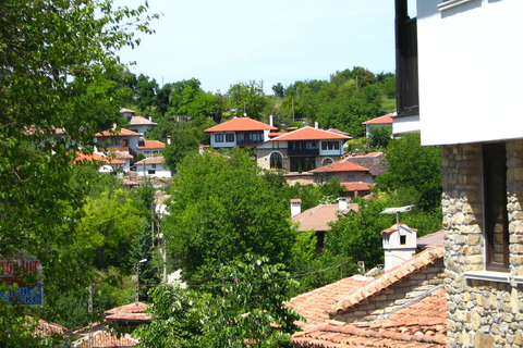 De Bucarest: visite guidée privée de 12 jours en Roumanie