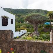 Tenerife: Teide National Park Full-Day Scenic Tour
