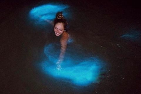 Z Puerto Escondido: rejs po bioluminescencyjnej lagunie