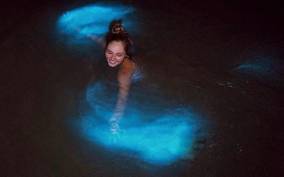 From Puerto Escondido: Bioluminescent Lagoon Boat Tour