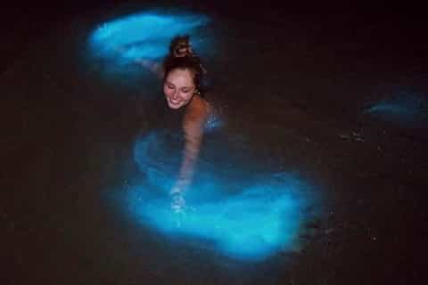 Von Puerto Escondido aus: Biolumineszente Lagunen-Bootsfahrt