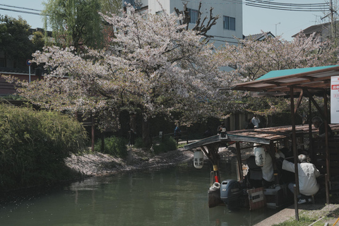 Kyoto Customisable Private Tour with a Local Guide