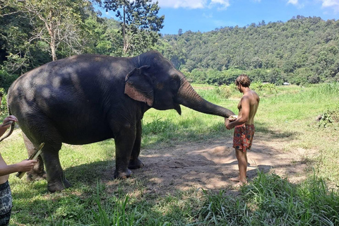 Chiang Mai: 2-Day Jungle Trek with Elephant Farm & Raft Ride Hotel Pickup and Drop-off (within Pickup Area)