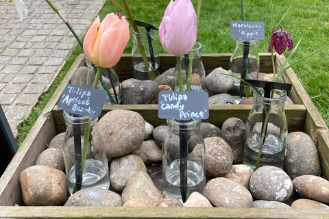 Londres : journée à la découverte des jardins secrets