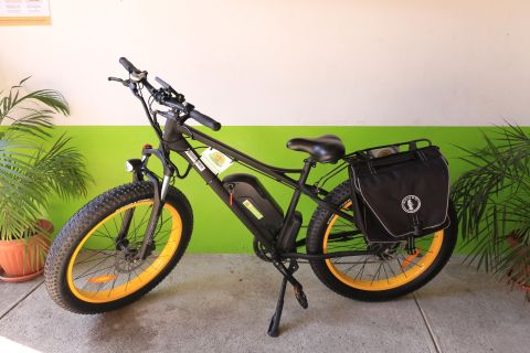 Puerto Vallarta: Electric Mountain Bike Rental