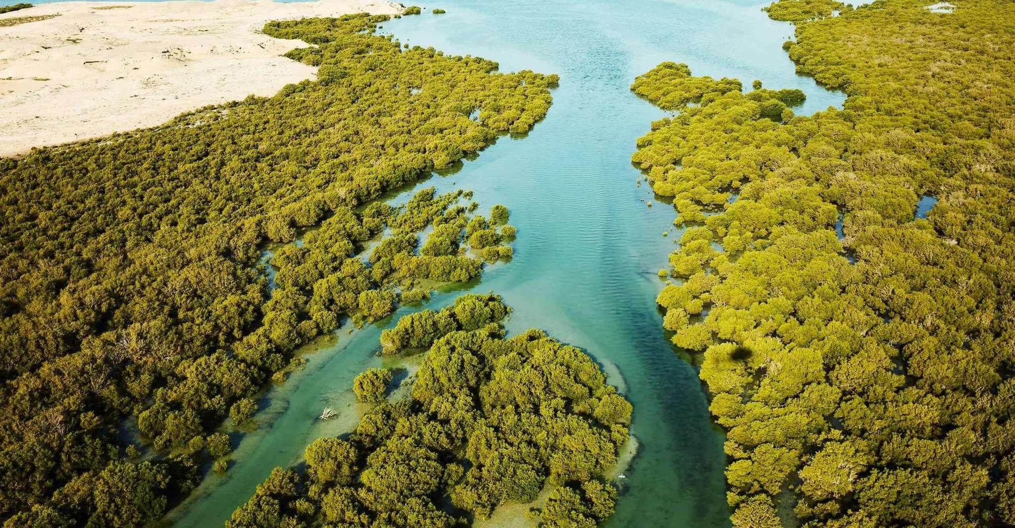 Doha: North Qatar Guide Expedition with Pickup & Drop-Off photo 2