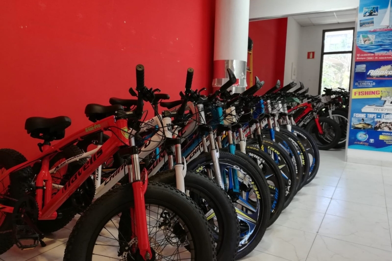 Fuerteventura: location de vélos sur les sentiers du parc naturel de CorralejoLocation de vélos électriques