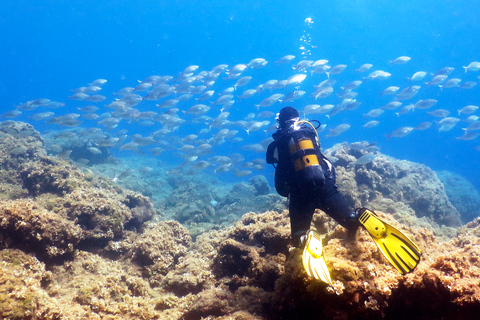 Rhodes : aventure de plongée sous-marine pour plongeurs qualifiés