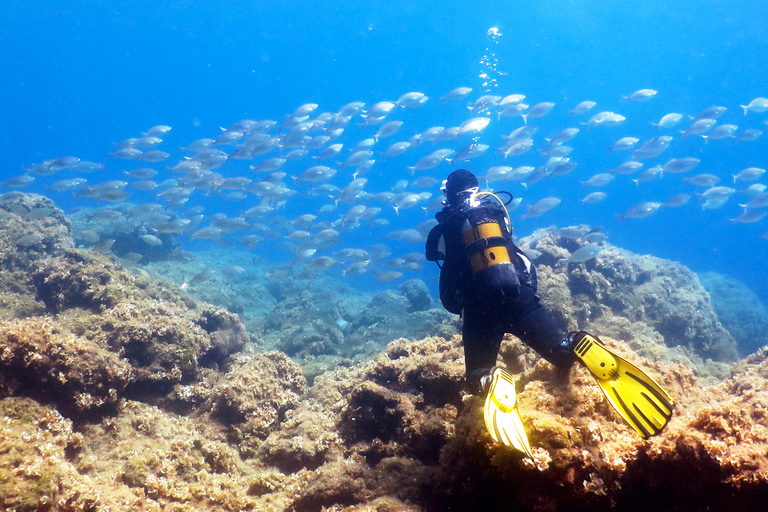 Rhodes: Diving Adventure for Beginners and Experts